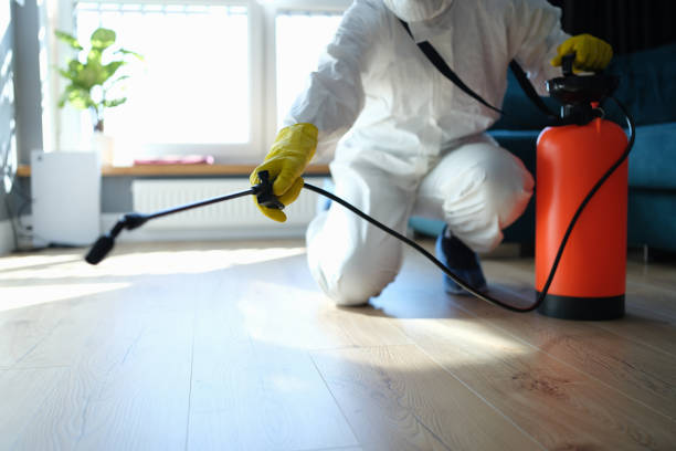 Reliable Odor Removal contractor in Casselberry, FL by Trauma Clean Pros